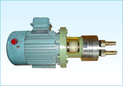 不锈钢齿轮泵厂产品应用广泛,泵业市场前景看好 不锈钢齿轮泵厂产品应用广泛,泵业市场前景看好